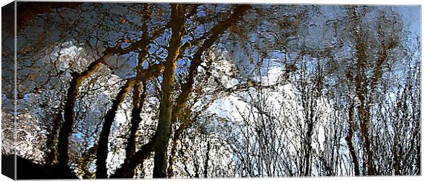 Reflected Canvas Print by Stephen Maxwell