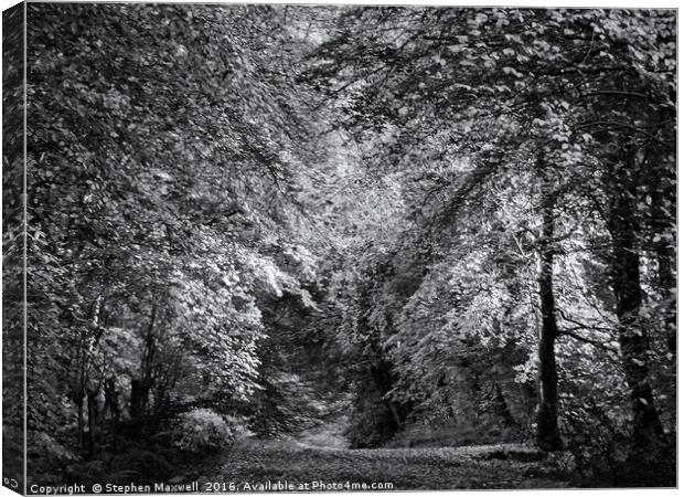 Woodburn Forest Path Canvas Print by Stephen Maxwell