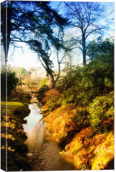 Stream Canvas Print by Stephen Maxwell