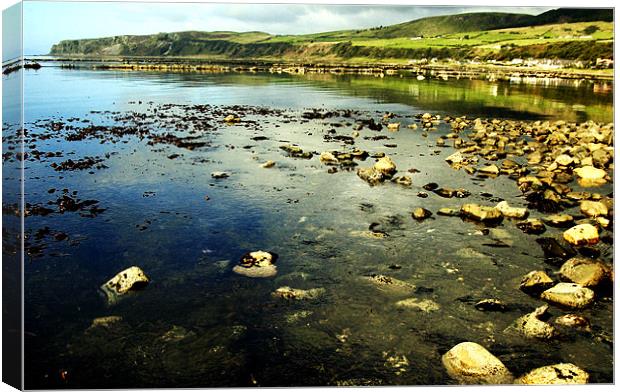 Shoreline Canvas Print by Stephen Maxwell