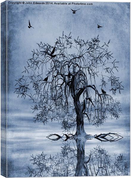 The Wishing Tree Cyanotype Canvas Print by John Edwards