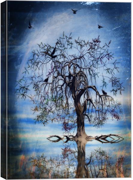 The wishing tree Canvas Print by John Edwards