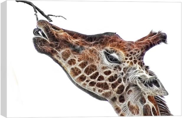 Fractal Giraffe Canvas Print by John Edwards