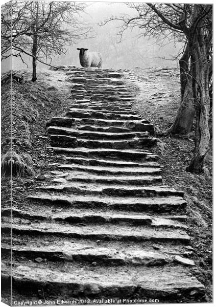 Dovedale steps Canvas Print by John Edwards