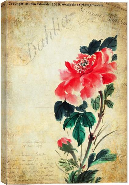 Dahlia Canvas Print by John Edwards
