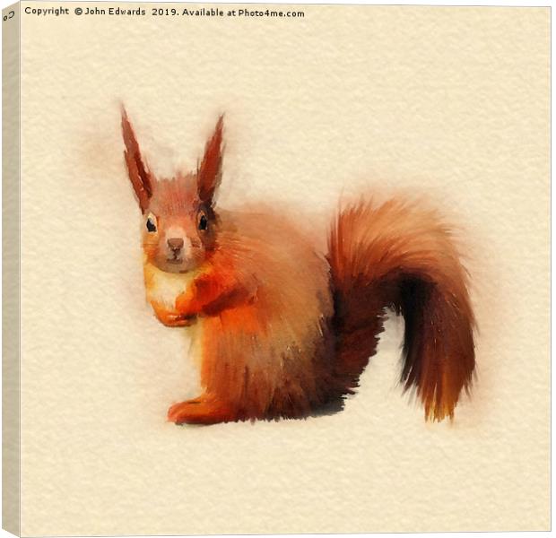 Red Squirrel (Sciurus vulgaris)   Canvas Print by John Edwards