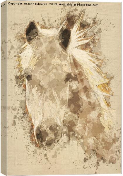 Pony  Canvas Print by John Edwards