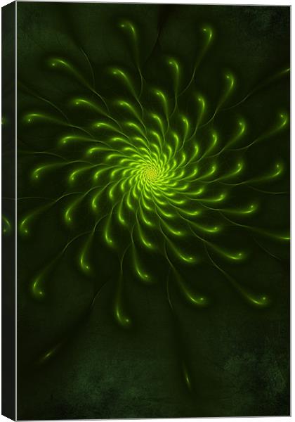 Green Paint Canvas Print by John Edwards