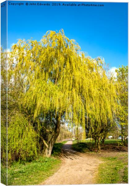 The Path Through The Willows Canvas Print by John Edwards