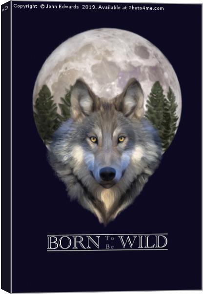 Born to be Wild Canvas Print by John Edwards