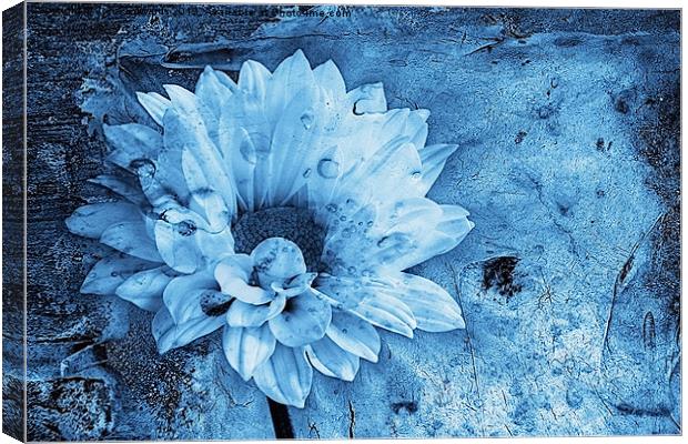 Iced Blue Canvas Print by John Edwards