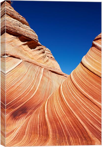 The Wave Canvas Print by Sharpimage NET