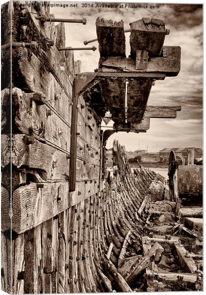 Gone to Wreck & Ruin Canvas Print by Sharpimage NET