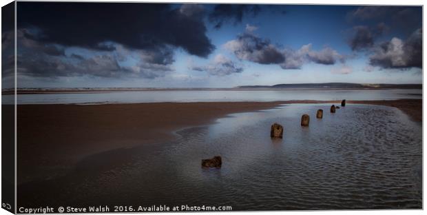 Beach timbers Canvas Print by Steve Walsh