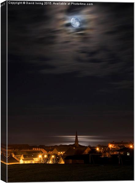  Moonshine Canvas Print by David Irving