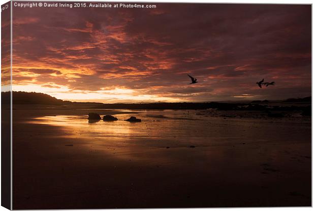  Sunset over beach in North Berwick Canvas Print by David Irving