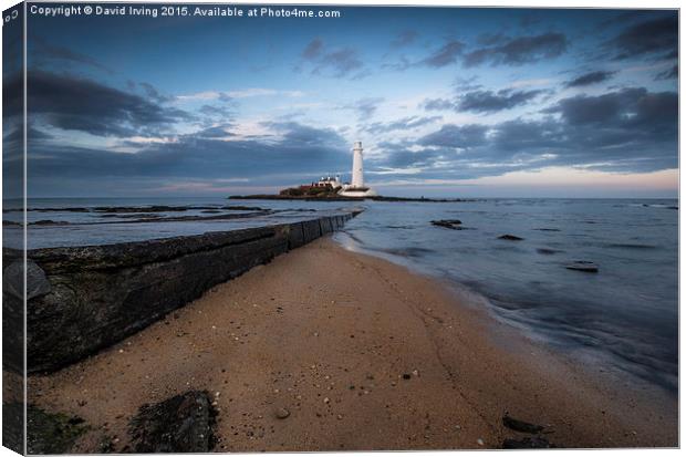  St Marys Lighthouse and Island Canvas Print by David Irving