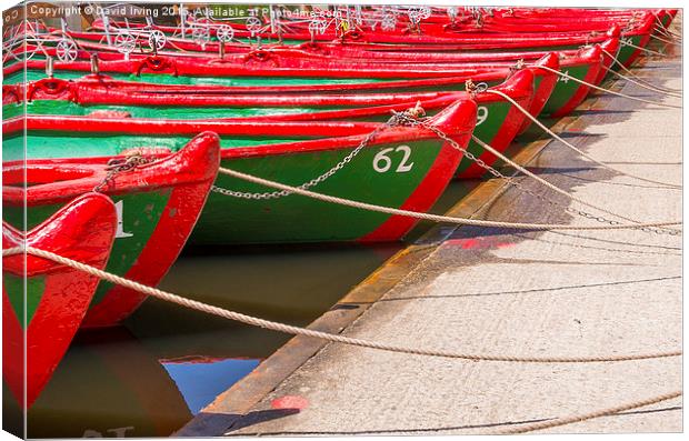  Rowing boats Canvas Print by David Irving
