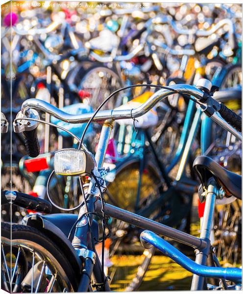  Cycle park Canvas Print by David Irving