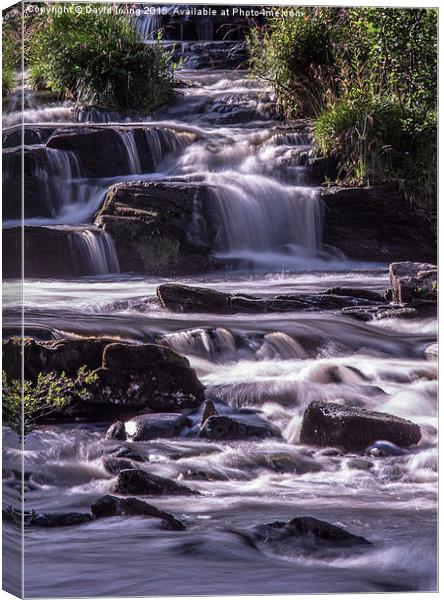  Cascading Waterfalls Canvas Print by David Irving