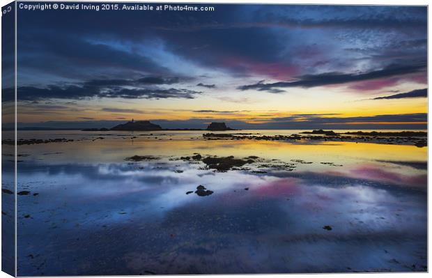 Natures Palette Canvas Print by David Irving