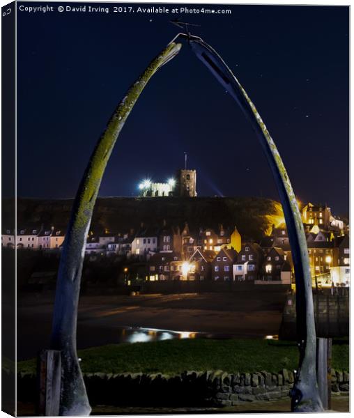 Whitbys Whale Jaw Bones Canvas Print by David Irving