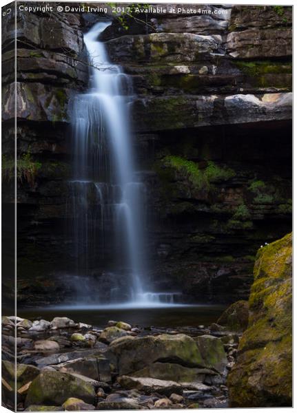 Summerhill Force Upper Teesdale Canvas Print by David Irving