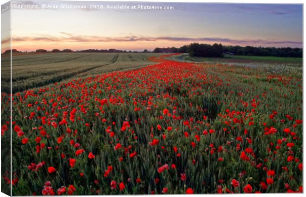 A field of poppy's          Canvas Print by Alan Glicksman