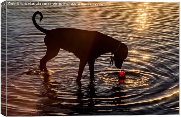 Dog playing in the water Canvas Print by Alan Glicksman