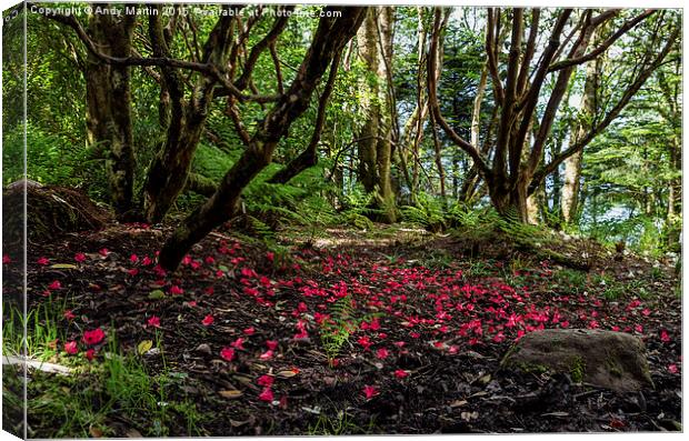  Red Carpet Canvas Print by Andy Martin