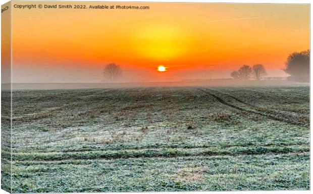 winter sunrise over a frozen field Canvas Print by David Smith