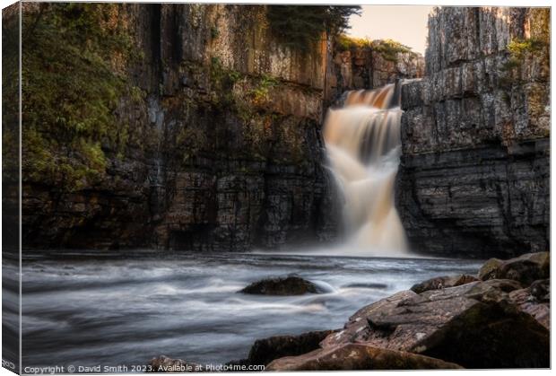 High Force Canvas Print by David Smith