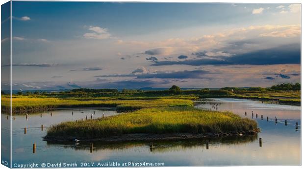 Stillness Canvas Print by David Smith