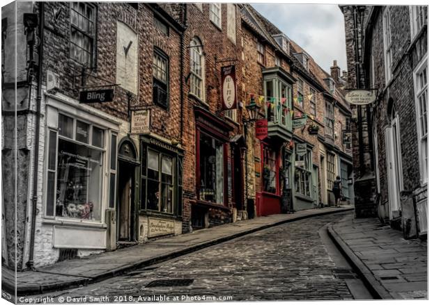 The Steep Hill Canvas Print by David Smith