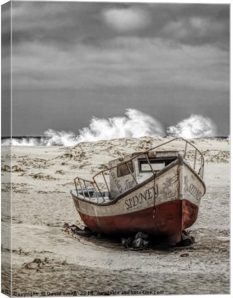 Beached Canvas Print by David Smith