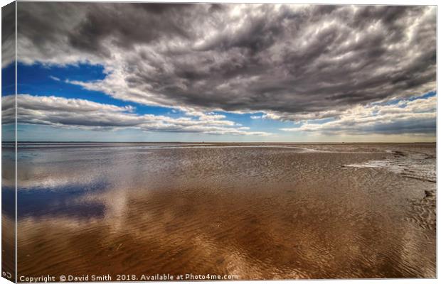 Low Tide at Cleethorpes Canvas Print by David Smith