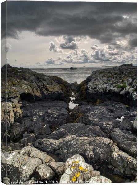 Holy Island Canvas Print by David Smith