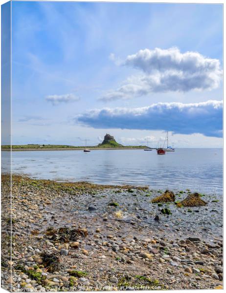 Lindisfarne Castle from across the harbour Canvas Print by David Smith