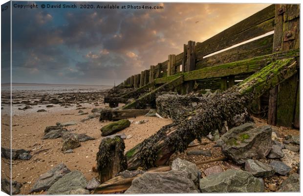 Groynes At Low Tide Canvas Print by David Smith