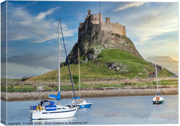Lindisfarne Castle and Harbour Canvas Print by David Smith