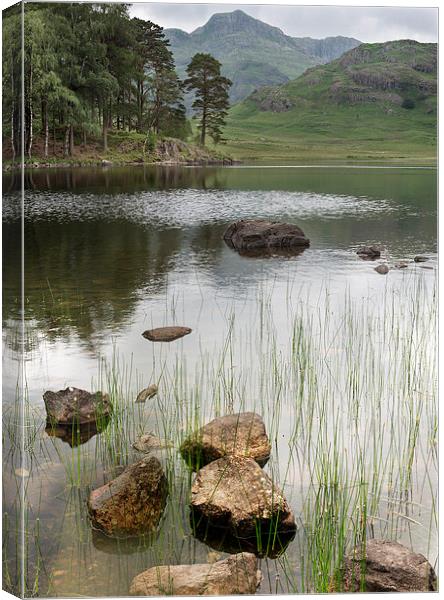  BLEA TARN Canvas Print by Nigel Higson