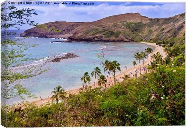  Beach, Hawaii Canvas Print by Nigel Higson