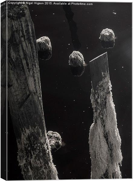  Interstellar pier piles Canvas Print by Nigel Higson