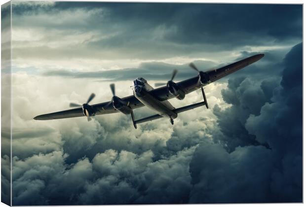 Soaring Through the Storm Canvas Print by Stephen Ward