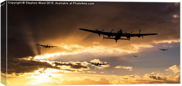  On a Mission Canvas Print by Stephen Ward