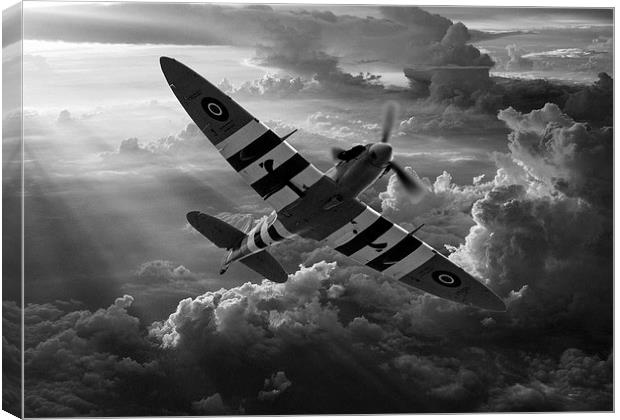  D-Day Defender Canvas Print by Stephen Ward