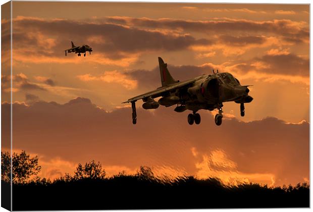  Hunting Harriers Canvas Print by Stephen Ward