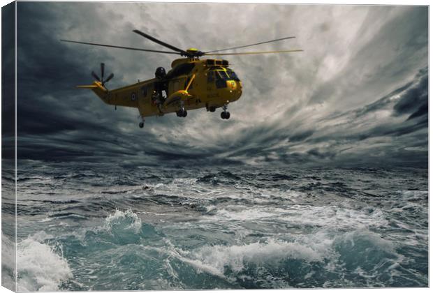 Rescued Canvas Print by Stephen Ward