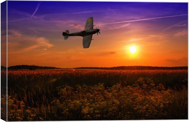 Buzzing the fields Canvas Print by Stephen Ward
