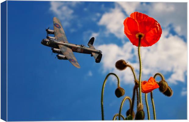 Bomber Command Tribute Canvas Print by Stephen Ward
